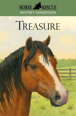 Book cover for Horse Rescue