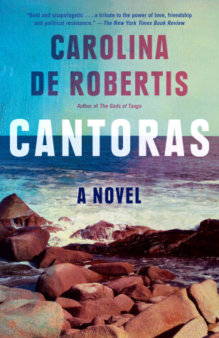 Book cover for Cantoras