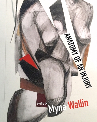 Book cover for Anatomy of an Injury