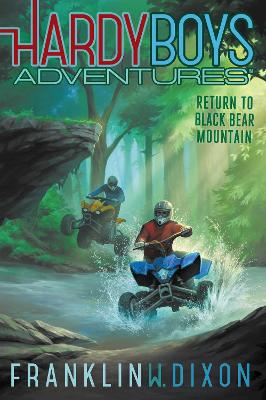 Book cover for Return to Black Bear Mountain