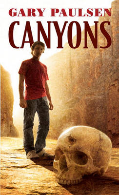 Book cover for Canyons