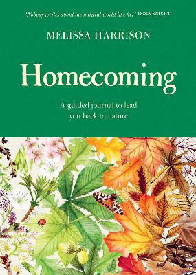 Book cover for Homecoming