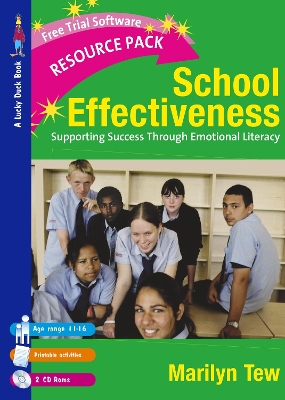 Cover of School Effectiveness