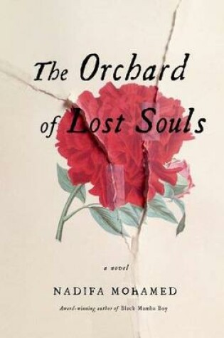Cover of The Orchard of Lost Souls