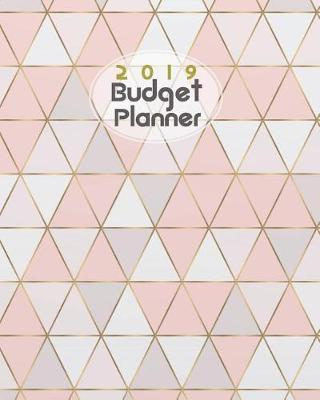 Book cover for 2019 Budget Planner