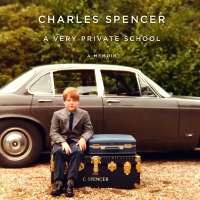 Book cover for A Very Private School