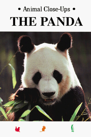 Cover of The Panda, Wild about Bamboo