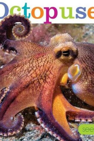 Cover of Seedlings: Octopuses