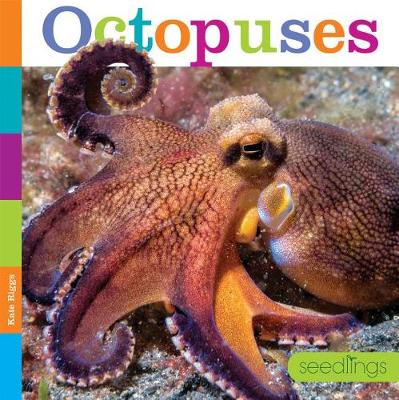 Book cover for Seedlings: Octopuses