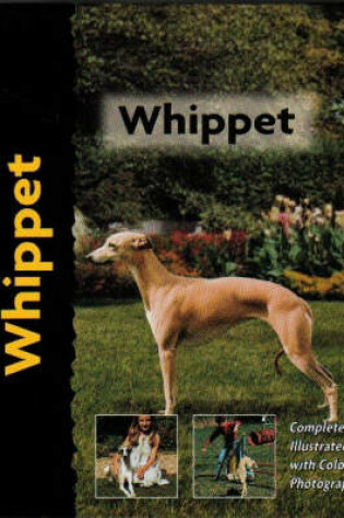 Cover of Pet Love Whippet