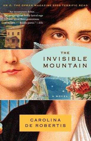 Book cover for The Invisible Mountain