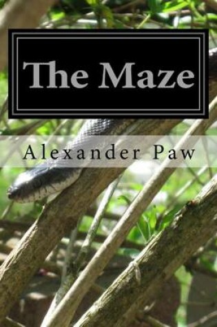 Cover of The Maze