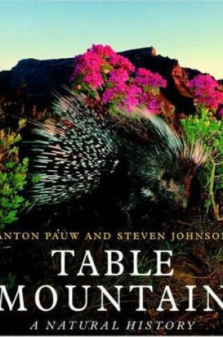 Cover of Table mountain