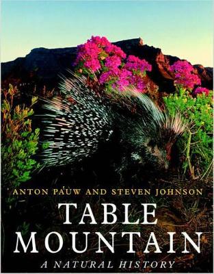 Book cover for Table mountain