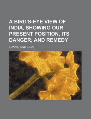 Book cover for A Bird's-Eye View of India, Showing Our Present Position, Its Danger, and Remedy