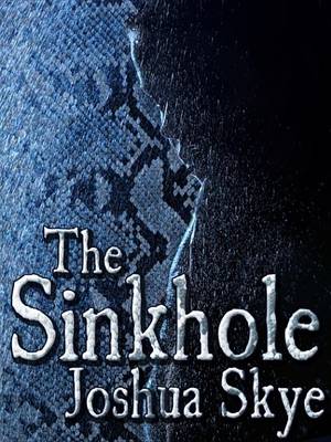 Book cover for The Sinkhole