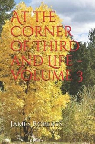 Cover of At the Corner of Third and Life - Volume 3
