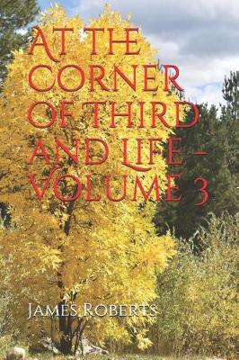 Book cover for At the Corner of Third and Life - Volume 3