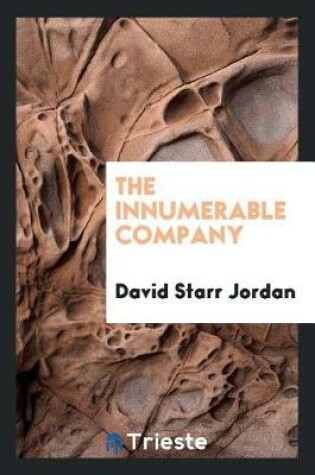 Cover of The Innumerable Company