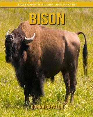 Book cover for Bison