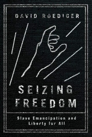 Book cover for Seizing Freedom