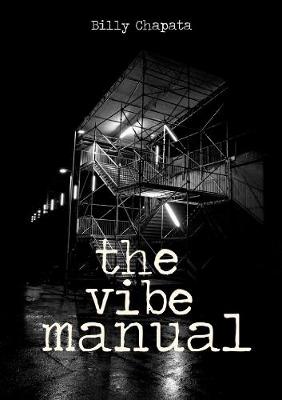 Book cover for The Vibe Manual