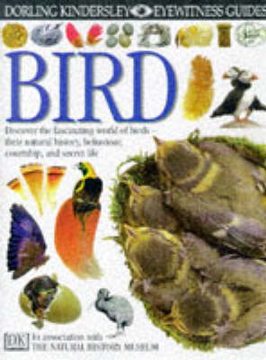 Book cover for DK Eyewitness Guides:  Bird