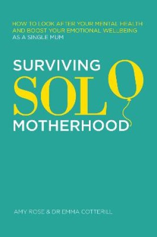 Cover of Surviving Solo Motherhood