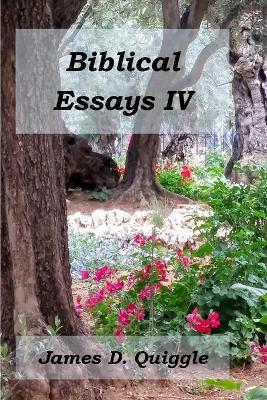 Book cover for Biblical Essays IV