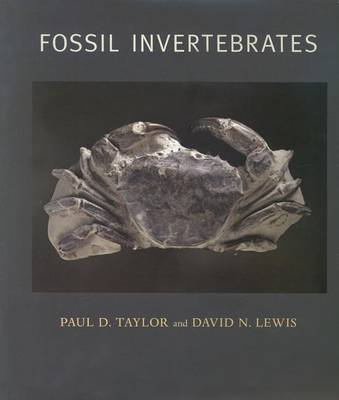 Book cover for Fossil Invertebrates