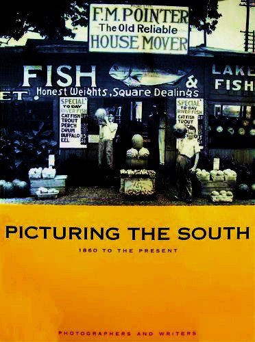 Book cover for Picturing the South