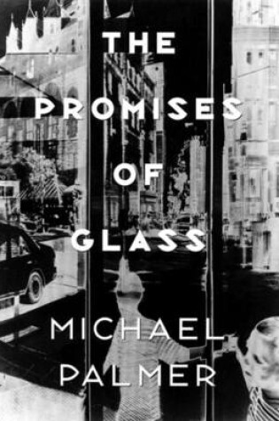 Cover of The Promises of Glass