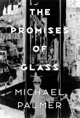 Book cover for The Promises of Glass