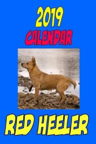 Cover of 2019 Calendar Red Heeler