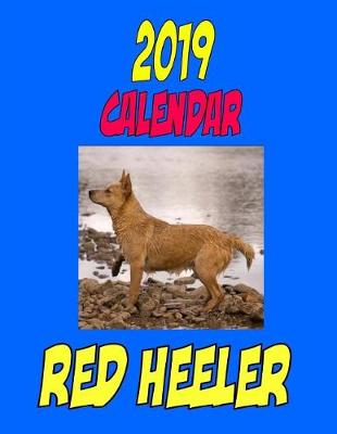 Book cover for 2019 Calendar Red Heeler