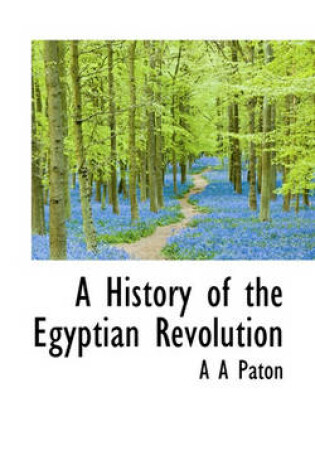 Cover of A History of the Egyptian Revolution