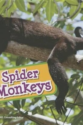 Cover of Spider Monkeys