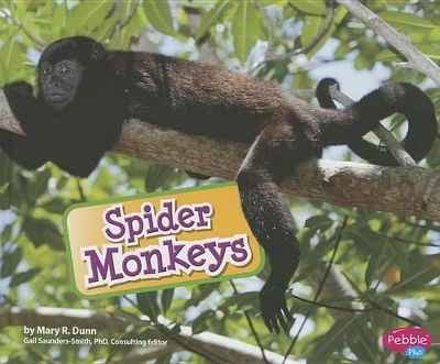 Cover of Spider Monkeys