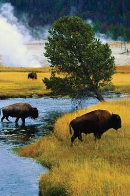 Cover of Bison Crossing Any Day Planner Notebook