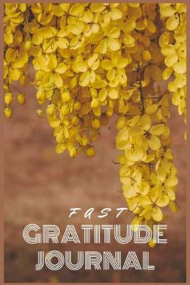 Book cover for Fast Gratitude Journal
