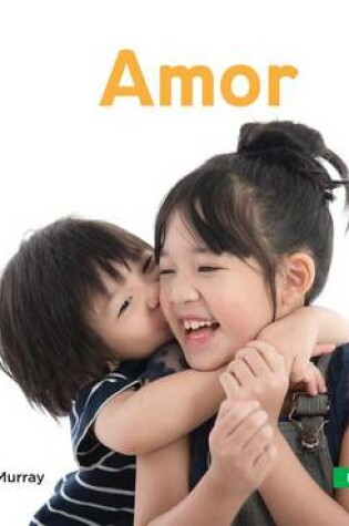 Cover of Amor (Love)