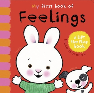 Book cover for My First Book of Feelings