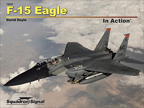 Book cover for F-15 Eagle in Action Op