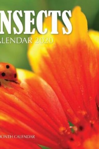 Cover of Insects Calendar 2020