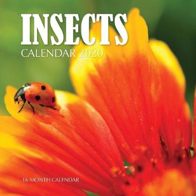 Book cover for Insects Calendar 2020