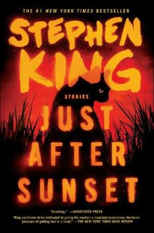 Cover of Just After Sunset: Stories