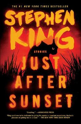 Book cover for Just After Sunset: Stories