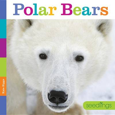 Book cover for Seedlings Polar Bears