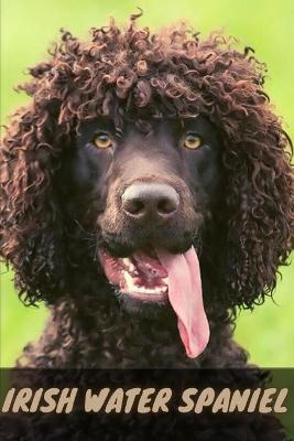 Book cover for Irish Water Spaniel