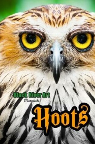 Cover of Hoots